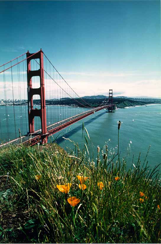 Golden Gate