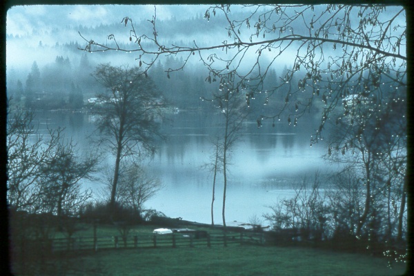 Lake Samish