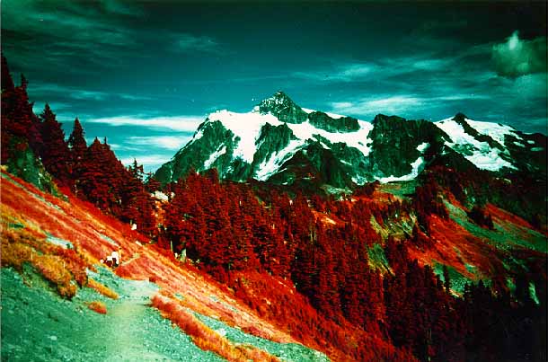 Shucksan Infra-red